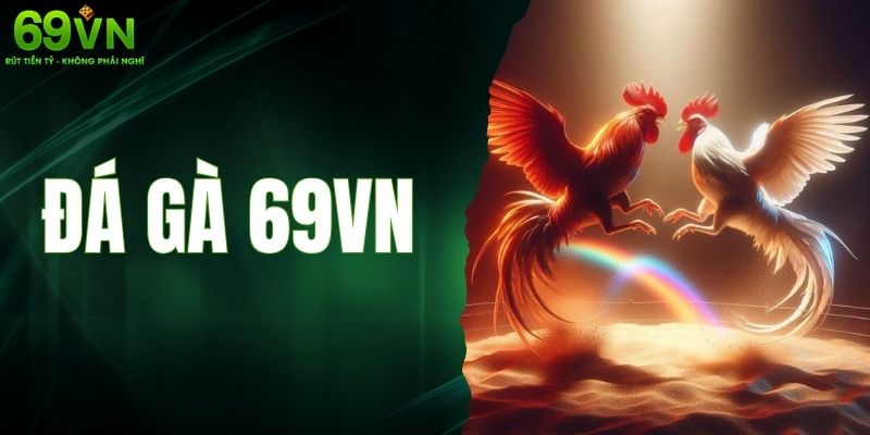 Đá Gà 69VN – Bồ Gà Hiện Đại Cập Nhật Liên Tục Các Giải Đấu