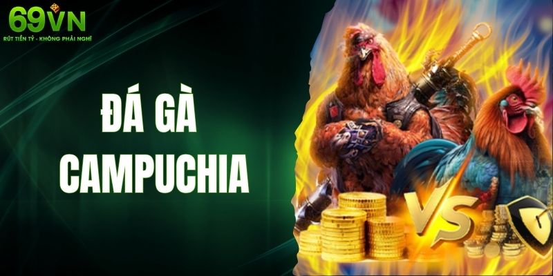 Đá Gà Campuchia – Những Cú Đá Siêu Đỉnh Của Những Chiến Kê