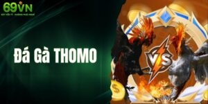 Đá Gà Thomo - Sân Chơi Cá Cược Thú Vị Hàng Đầu Hiện Nay