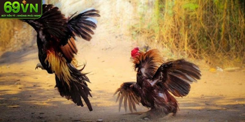 Những loại cược hấp dẫn anh em cần nắm 