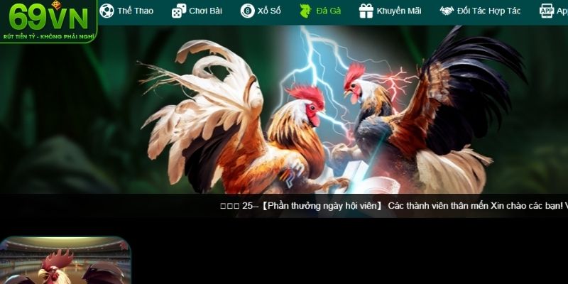 Tìm hiểu tổng quan sân chơi đá gà 69VN